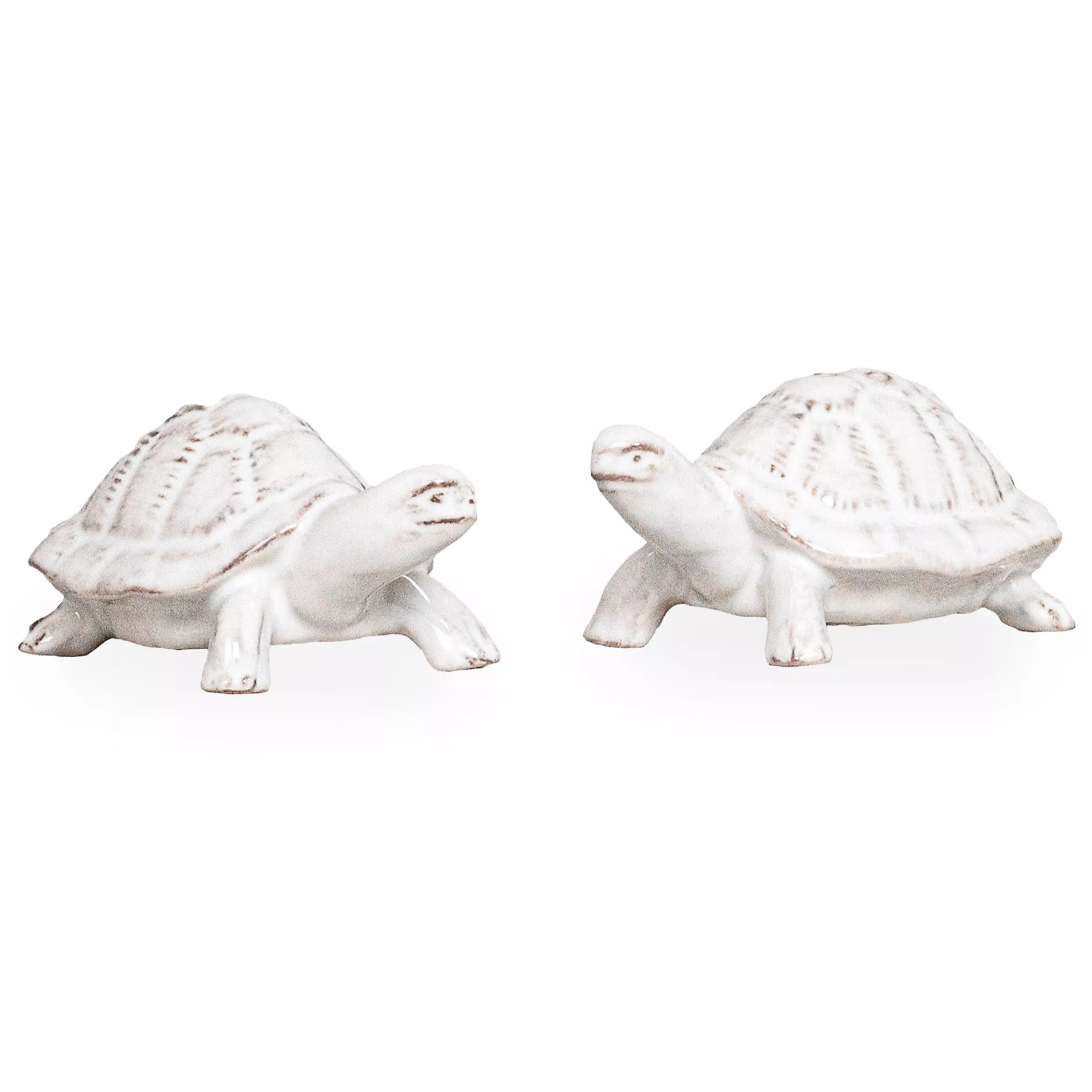 Clever Creatures Turtle Salt and Pepper