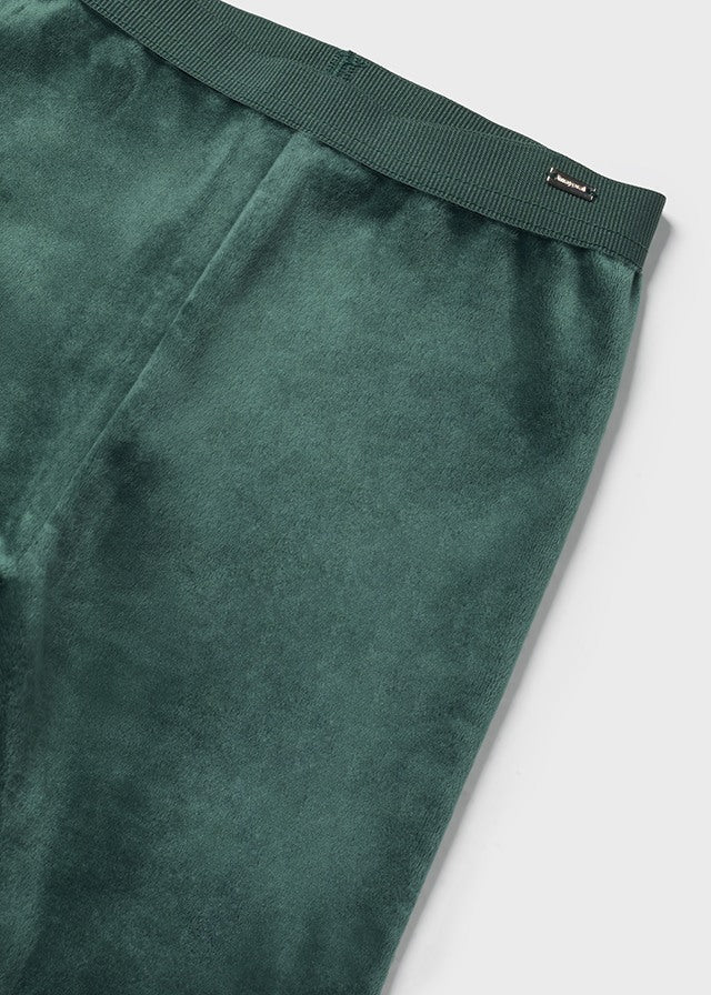 Dark Green Basic Velvet Leggings