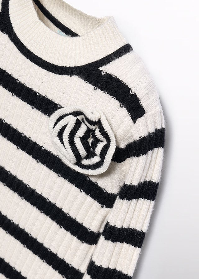 Black Knit Striped Turtleneck