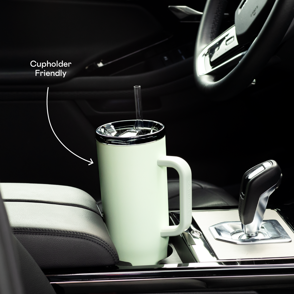 CRUISER INSULATED TUMBLER WITH HANDLE