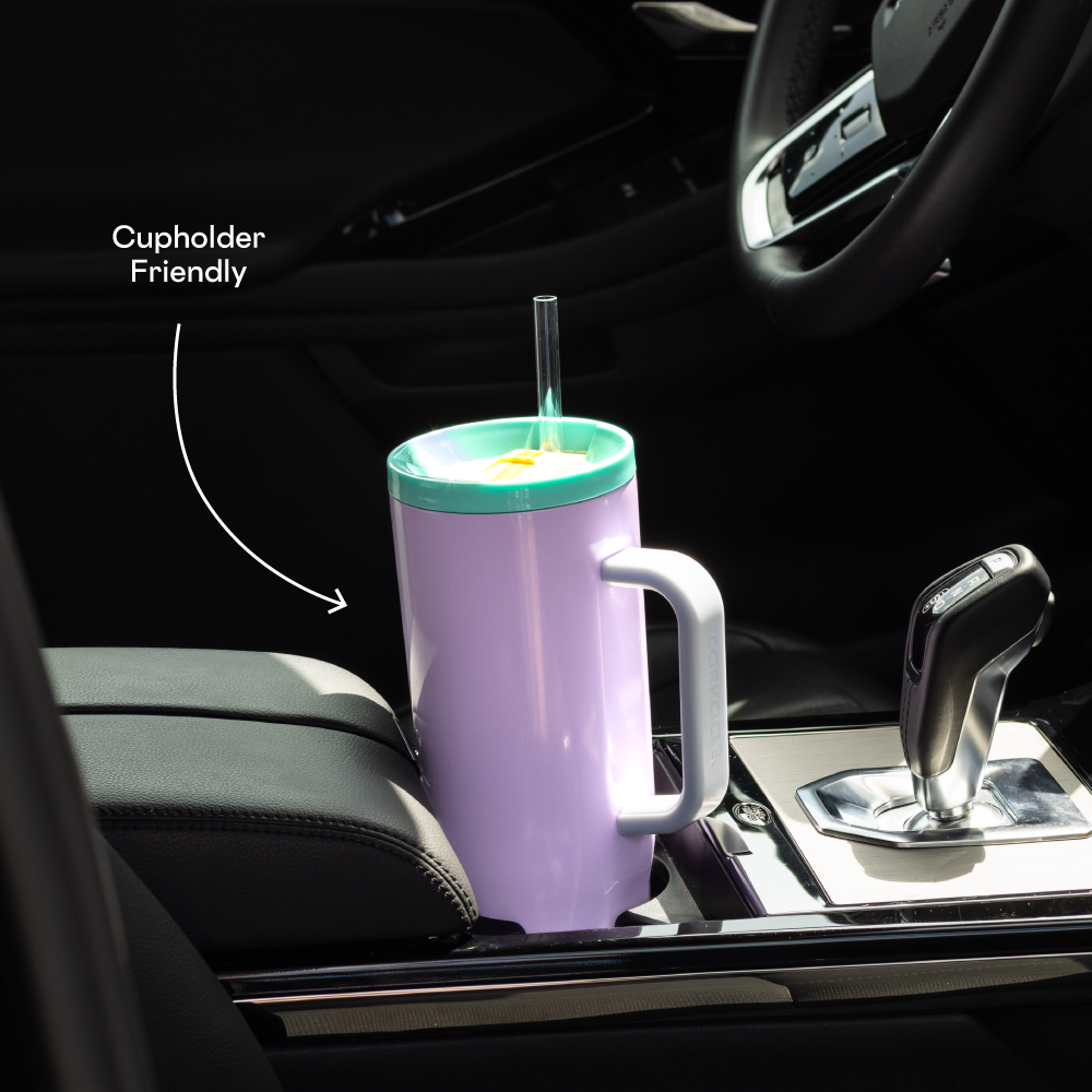 CRUISER INSULATED TUMBLER WITH HANDLE