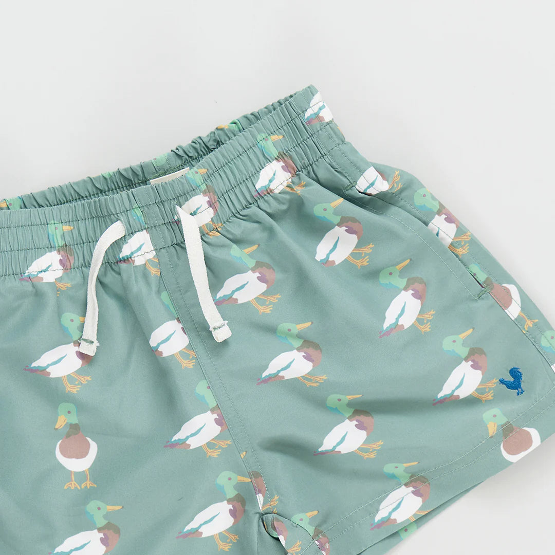 Baby Boys Swim Trunk - Green Mallard Friends