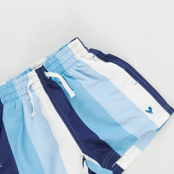 Baby Boys Swim Trunk - Ocean Stripe