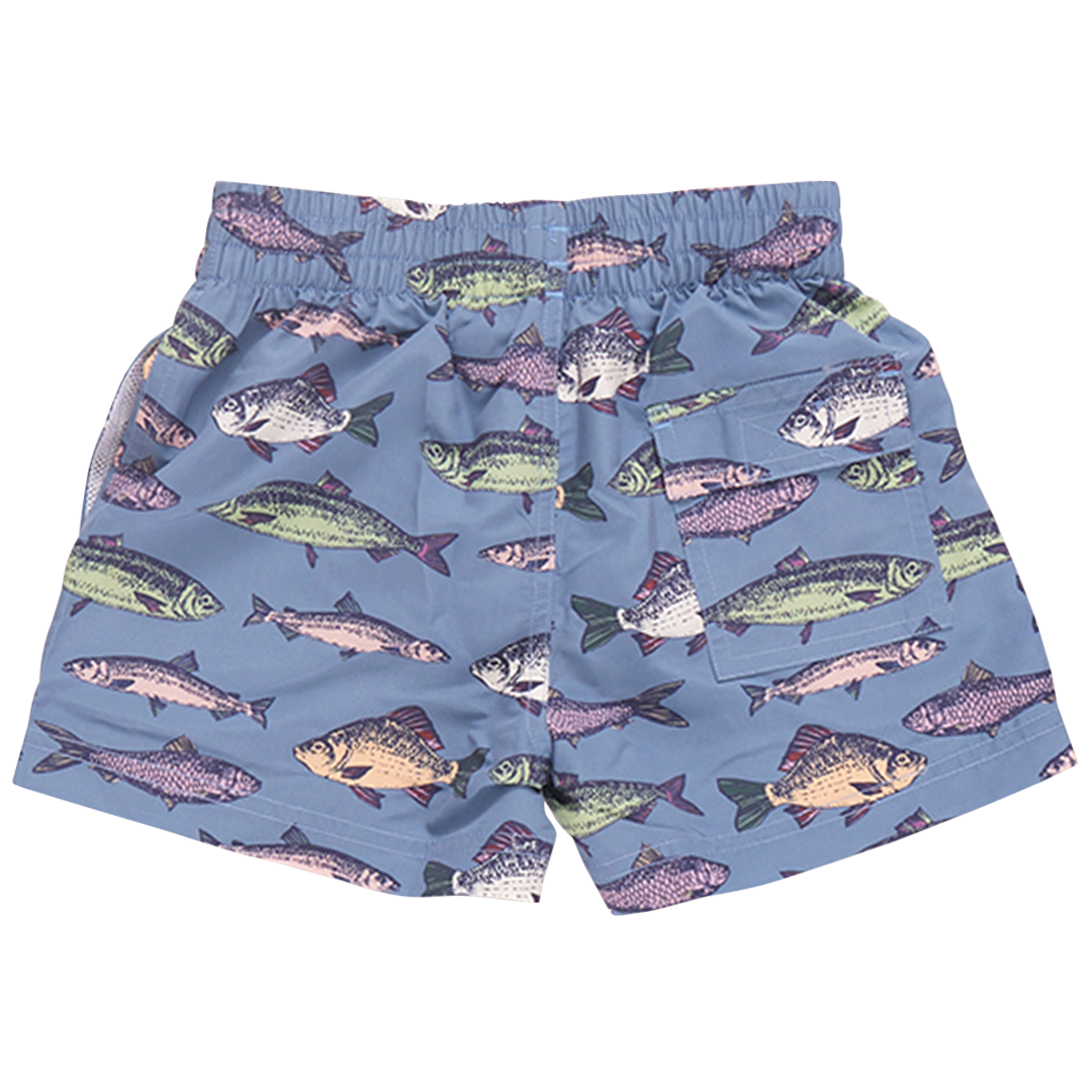 Baby Boys Swim Trunk - Bluestone Multi Fishies