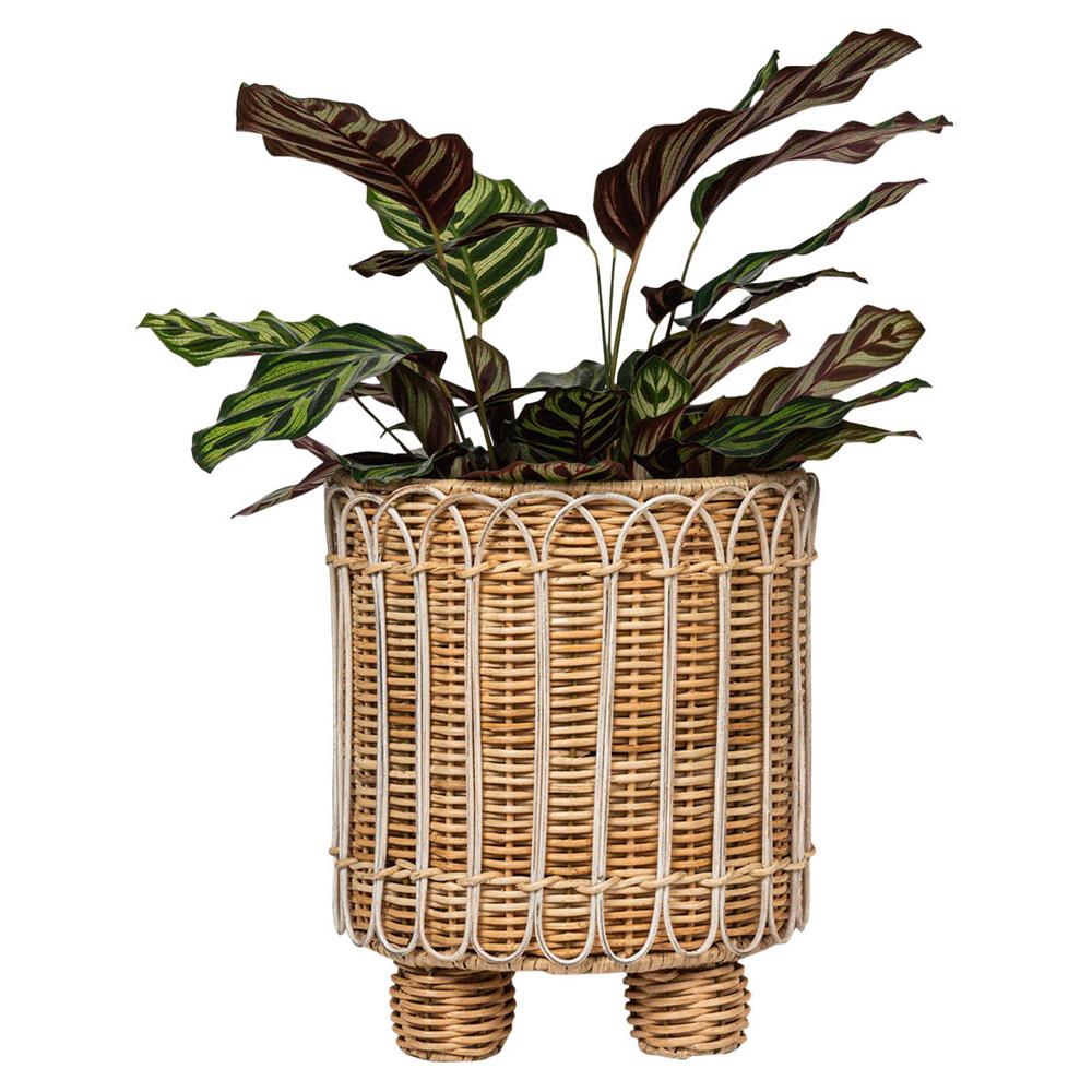 Provence Rattan Whitewash Round Planter