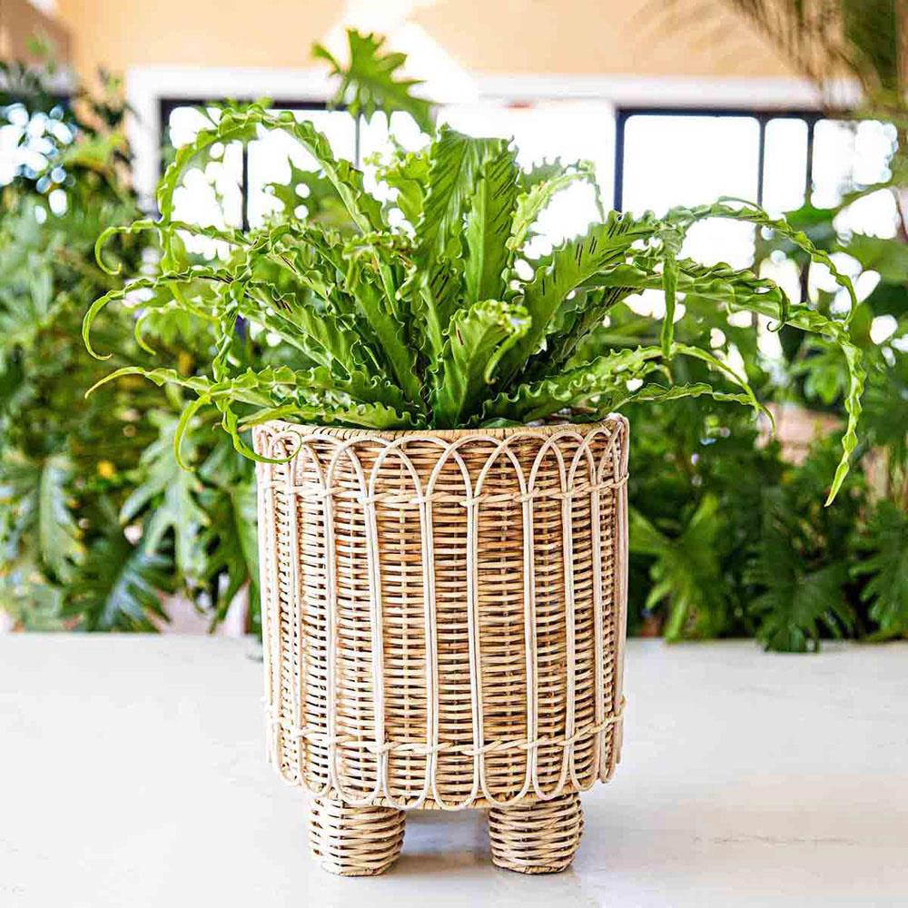 Provence Rattan Whitewash Round Planter