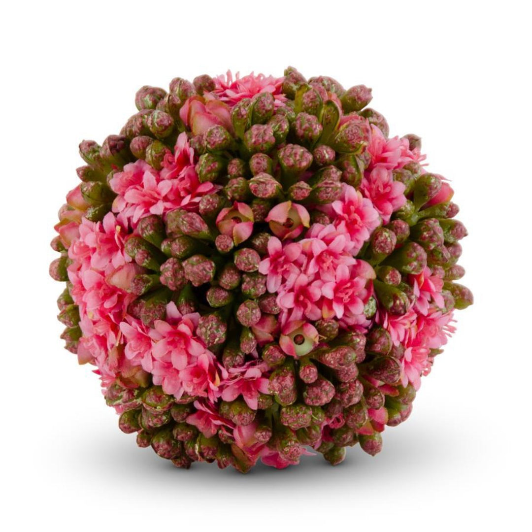 Pink Kalanchoe Ball