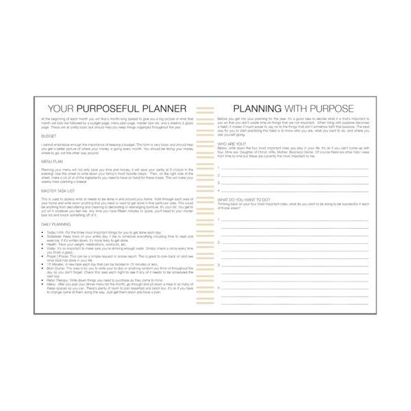 2020 Daily Purposeful Planner