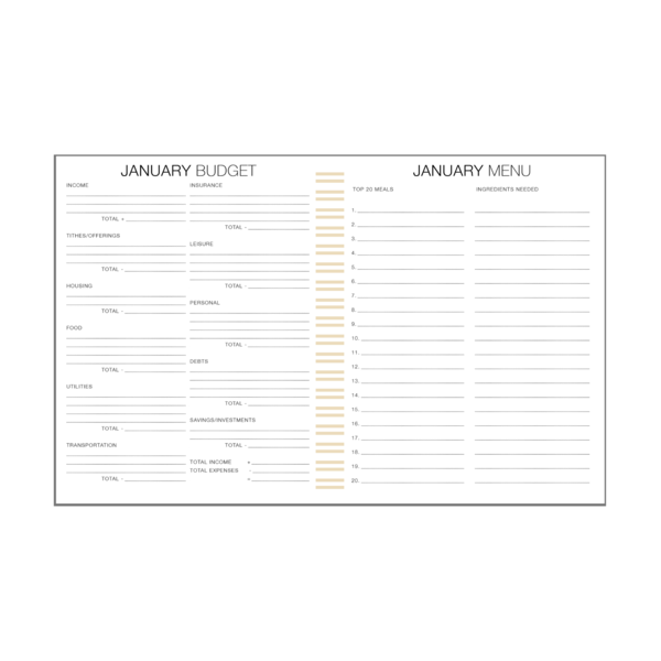 2020 Daily Purposeful Planner