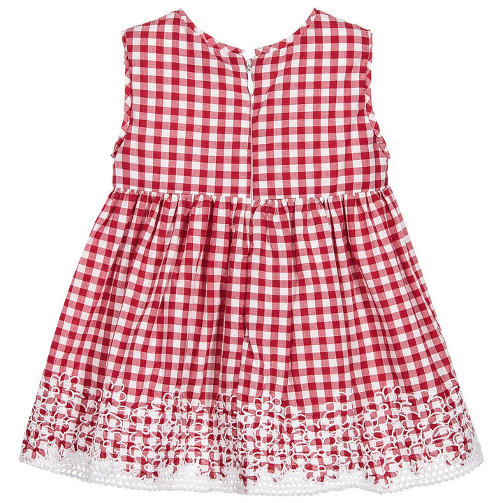 Red Gingham Dress