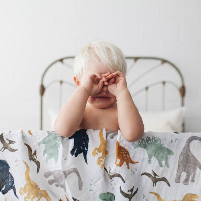 Cotton Muslin Swaddle Blanket - Dino Friends