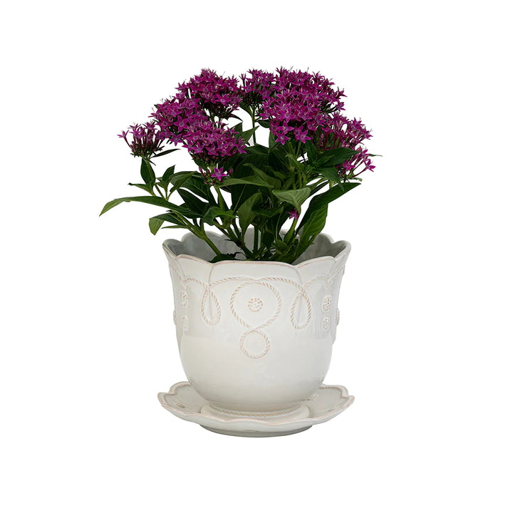 Jardins du Monde Whitewash 7.5" Planter