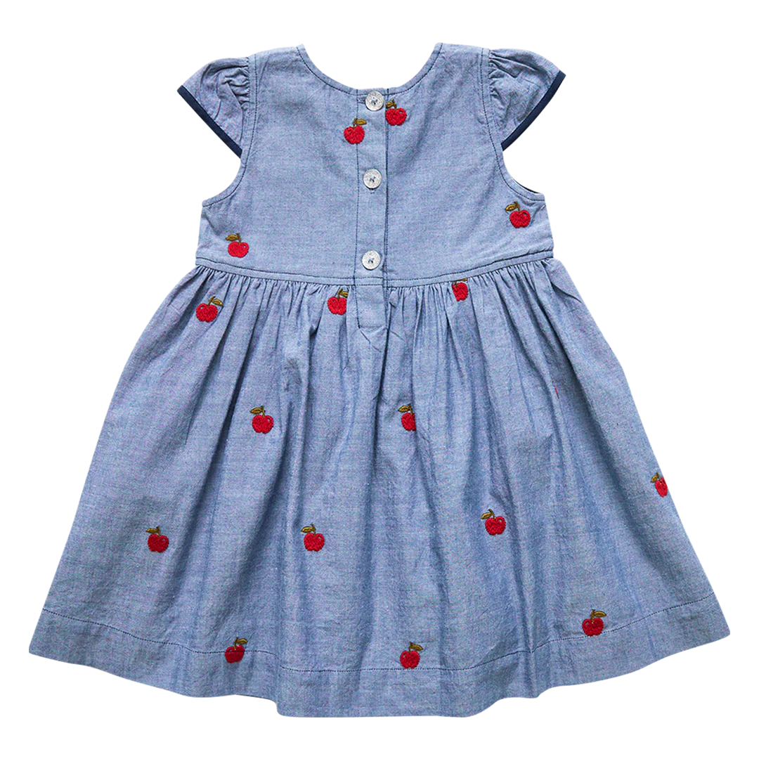 Chambray Apples Eden Dress