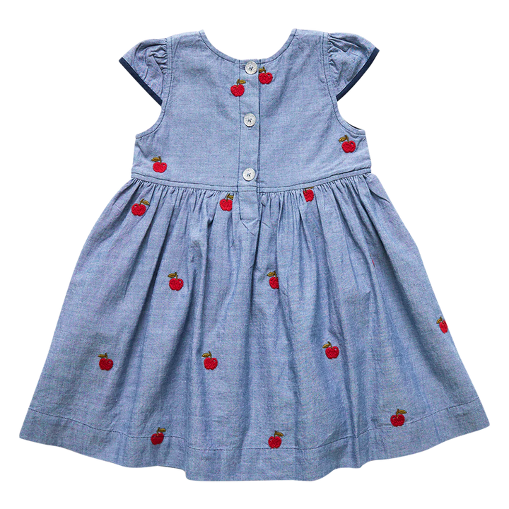 Chambray Apples Eden Dress