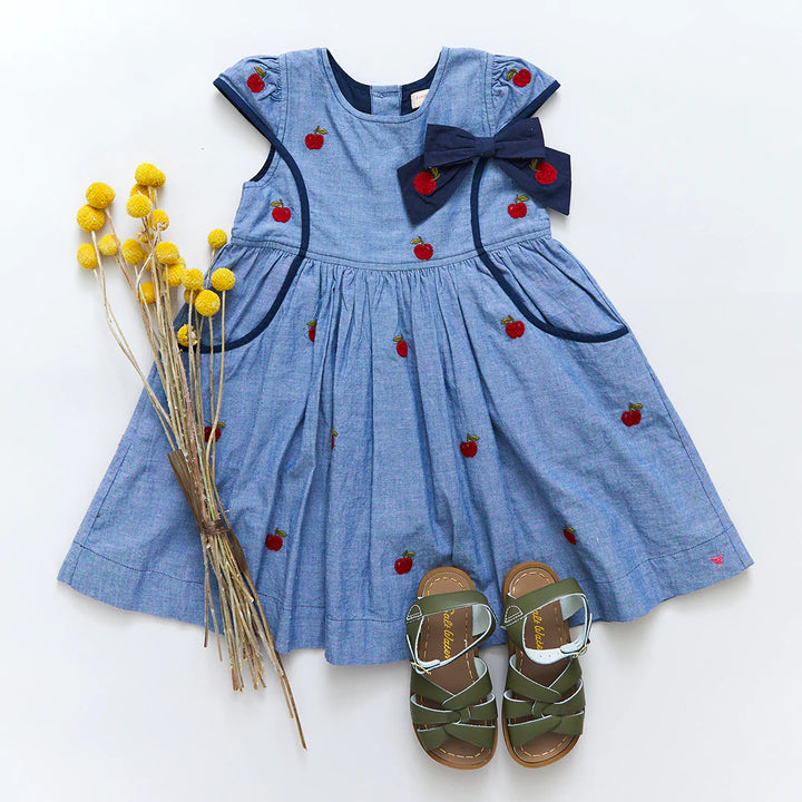 Chambray Apples Eden Dress