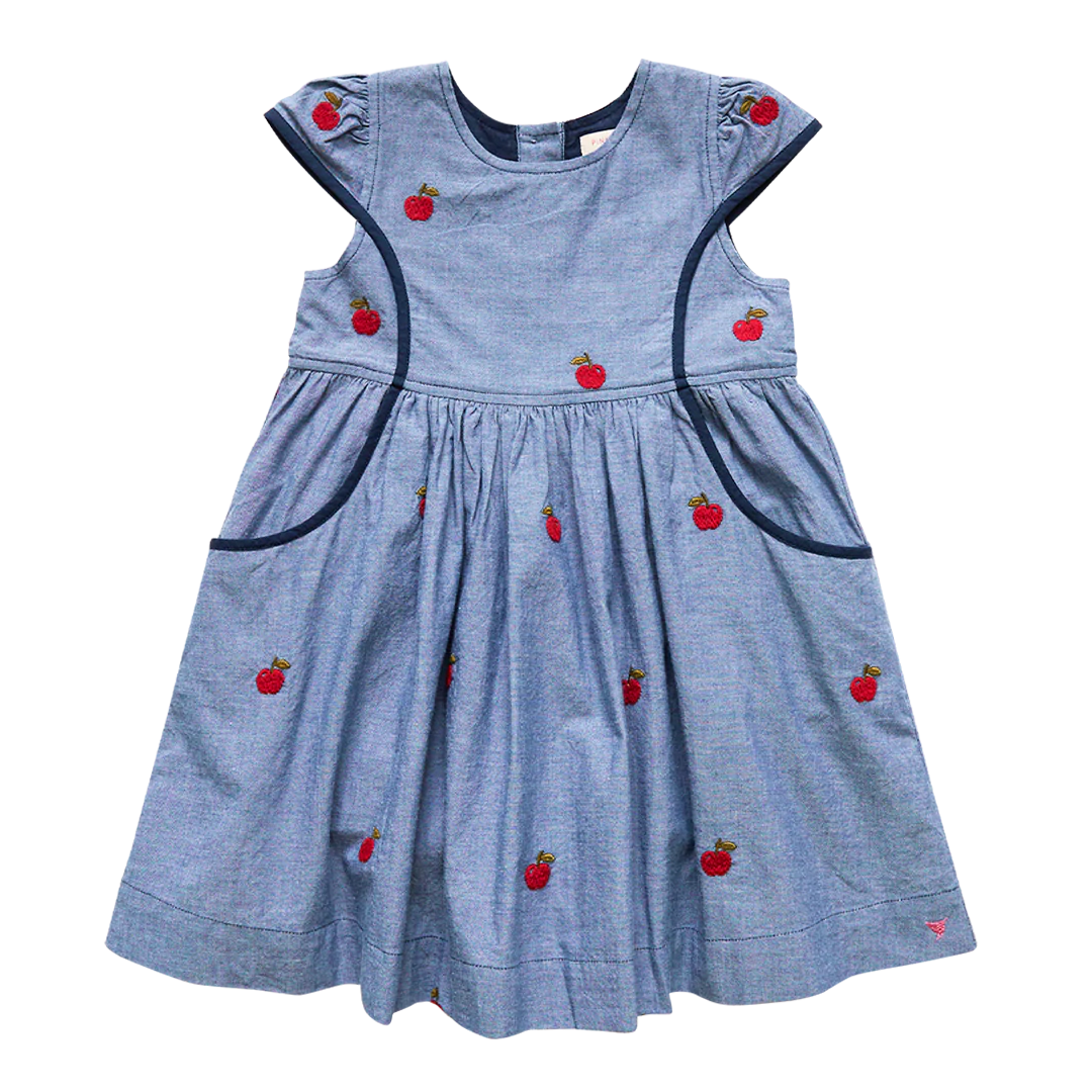 Chambray Apples Eden Dress